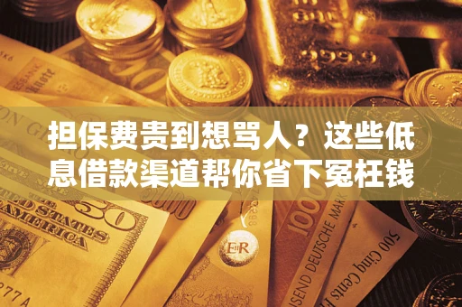 济南担保费贵到想骂人？这些低息借款渠道帮你省下冤枉钱