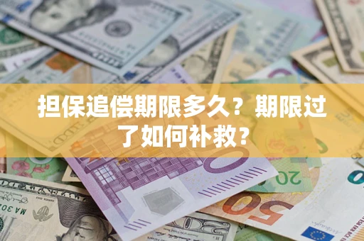 济南担保追偿期限多久？期限过了如何补救？