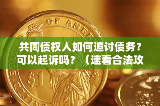 济南共同债权人如何追讨债务？可以起诉吗？（速看合法攻略）