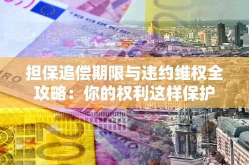 济南担保追偿期限与违约维权全攻略：你的权利这样保护